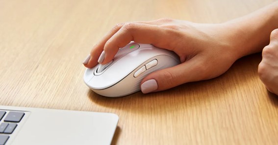 what is the lmb key